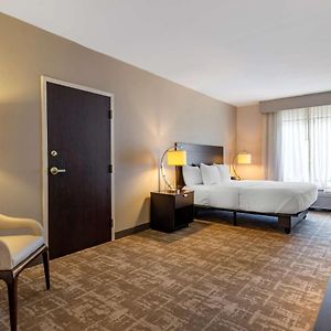 King Room Mobility Accessible Roll Shower